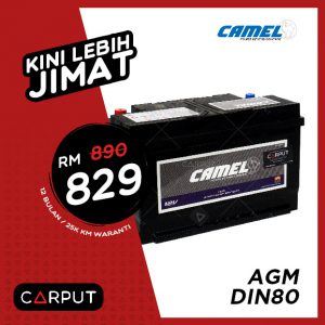 Camel DIN80 AGM Battery