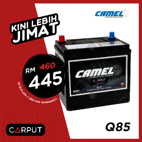 Camel Q85 EFB Battery